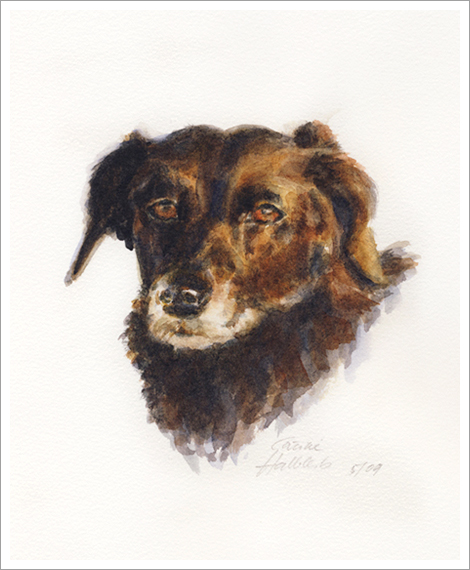 Bella, dog portrait in watercolour