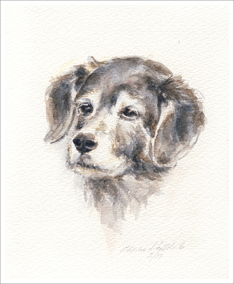 Ina, dog portrait in watercolour