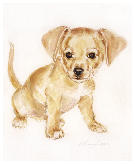Isaac, Hundeportrait in Aquarell
