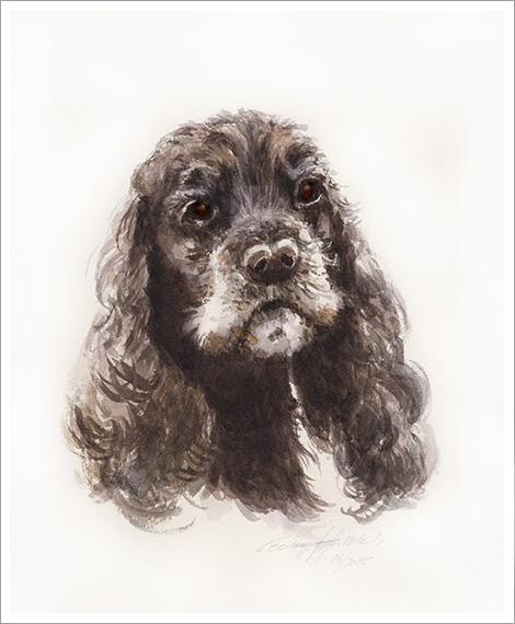 Lenny, dog portrait in watercolour