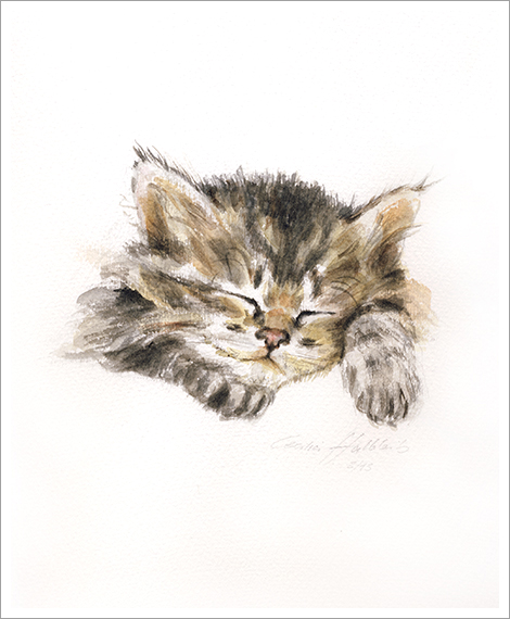 Lisi, cat portrait in watercolour